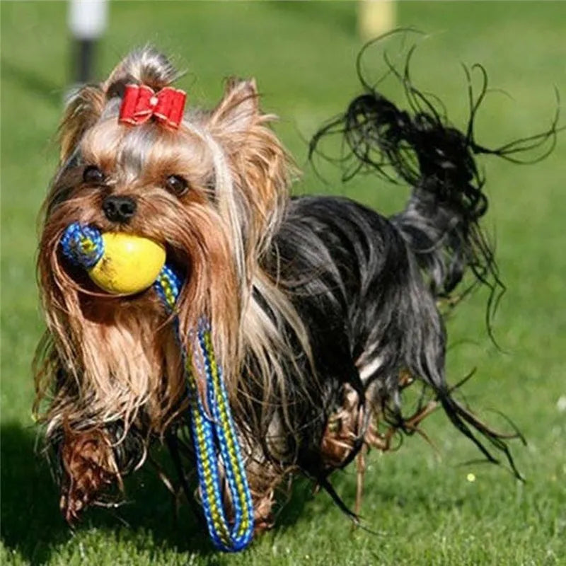 1pc Teeth Indestructible Bite Rubber Puppy Funny Training Ball Chew Toys Play Fetch Solid with Carrier Rope Pet Dog Toy