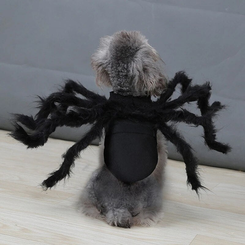 Funny Halloween Dog Cat Clothes Spider Costume Halloween Party Costumes for Small Medium Dog Cats Costumes. Get the vibes going with the creepy crawling spider costume!