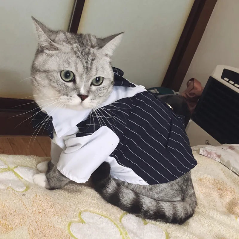 Handsome Cat Dog Party Suit Clothing Solid Fashion Pet Jacket for Cats Small Dogs Wedding Birthday Partying Clothes Costume. Looking like a stud muffin alright. Buy before it is gone!