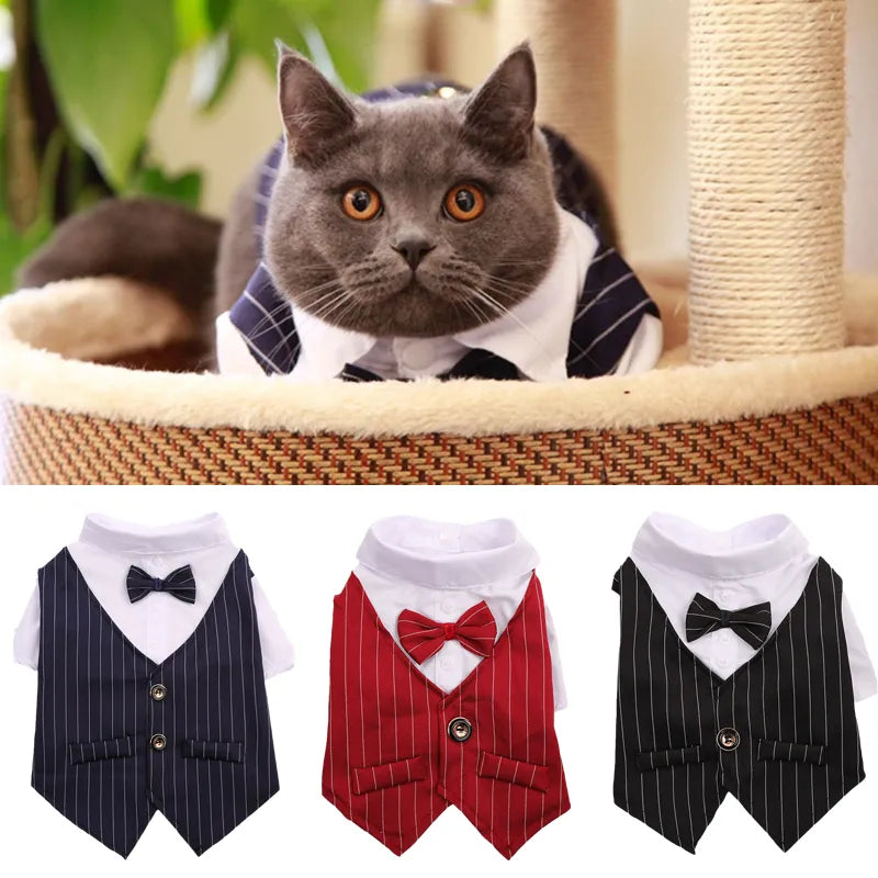 Handsome Cat Dog Party Suit Clothing Solid Fashion Pet Jacket for Cats Small Dogs Wedding Birthday Partying Clothes Costume. Looking like a stud muffin alright. Buy before it is gone!