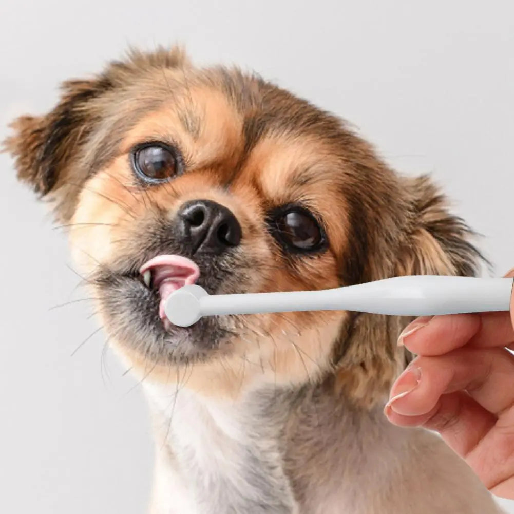 Pet Toothbrush Super Soft Toothbrush Cleaning Dog Cat Brush Bad Breath Teeth Care Reusable Puppy Kitty Toothbrush For Teddy