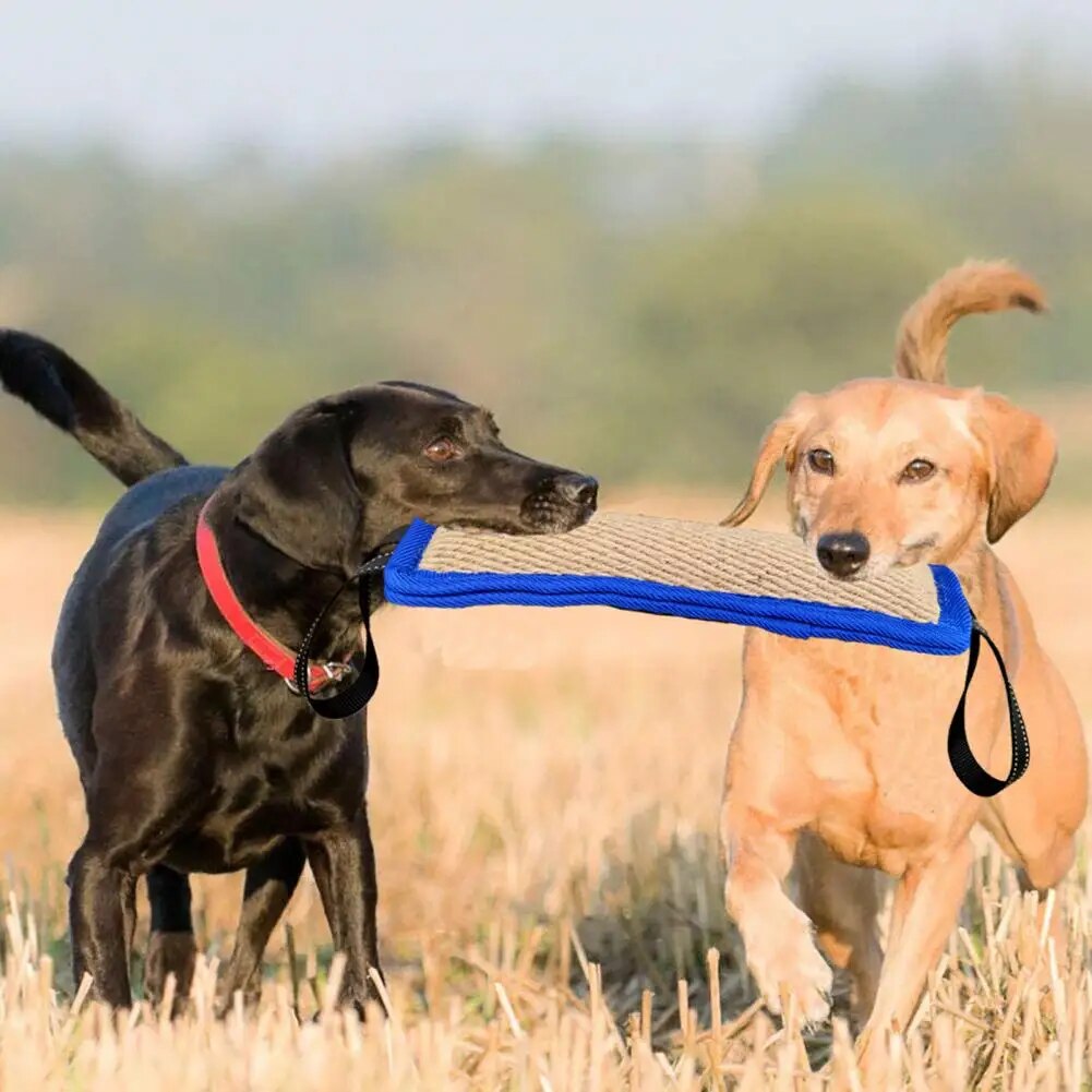 Dog Bite Stick Easy to Grip Interactive Dog Bite Toy Bite Resistant Dog Training Bite Pillow Toy Large Dogs Pet Stick Bite Toy. very durable and meant for dogs of all sizes