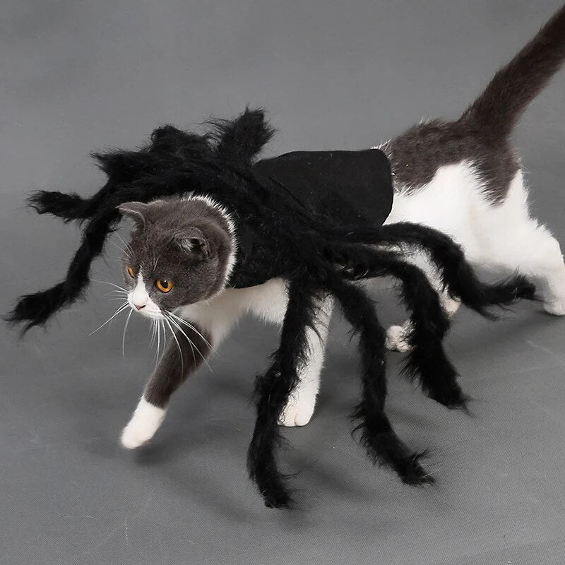 Funny Halloween Dog Cat Clothes Spider Costume Halloween Party Costumes for Small Medium Dog Cats Costumes. Get the vibes going with the creepy crawling spider costume!