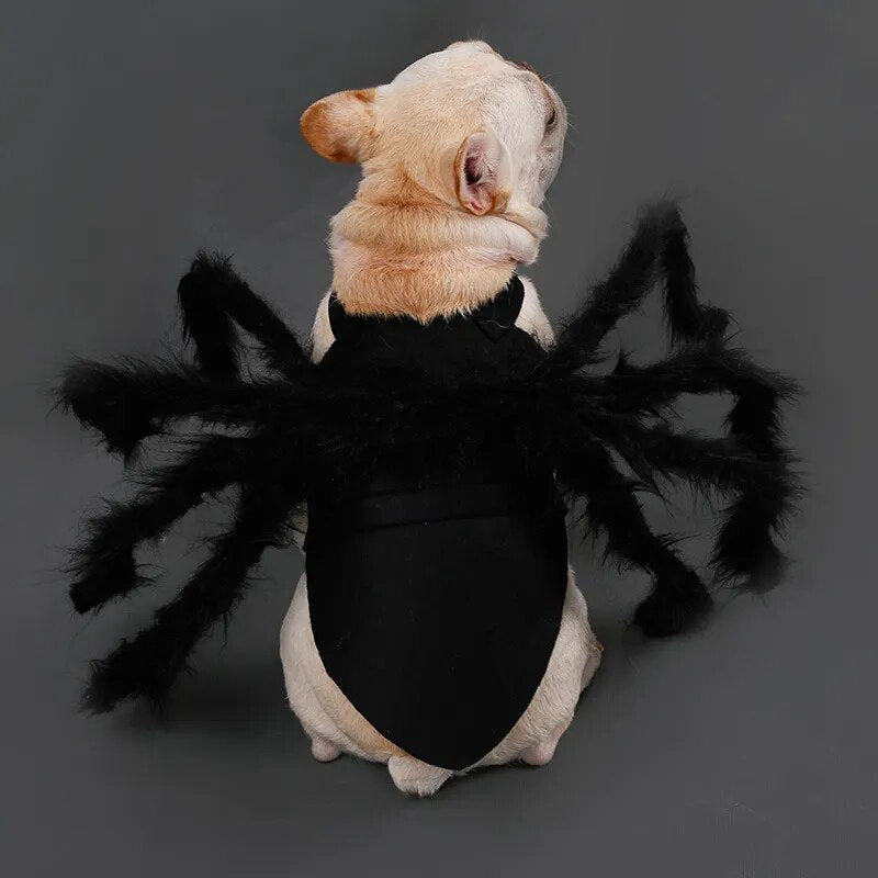 Funny Halloween Dog Cat Clothes Spider Costume Halloween Party Costumes for Small Medium Dog Cats Costumes. Get the vibes going with the creepy crawling spider costume!